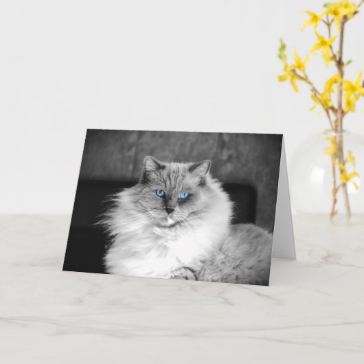 Blaue Augen, Karte (Gelbe Blume)