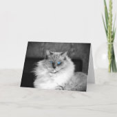 Blaue Augen, Karte (Vorderseite)