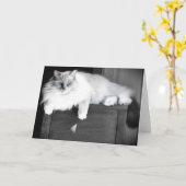 Blaue Augen, Karte (Gelbe Blume)