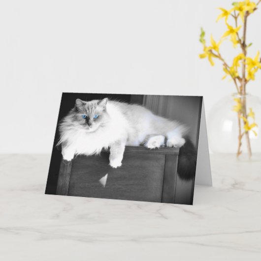 Blaue Augen, Karte (Gelbe Blume)