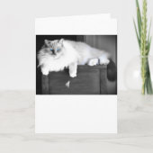 Blaue Augen, Karte (Vorderseite)