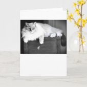 Blaue Augen, Karte (Gelbe Blume)