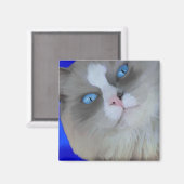 Blaue Augen Magnet (Vorderseite/Rückseite)