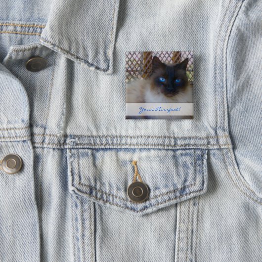 Blaue Augen-Miezekatze Ihr Purrrfect Knopf Button (Beispiel)