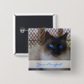 Blaue Augen-Miezekatze Ihr Purrrfect Knopf Button (Vorne & Hinten)