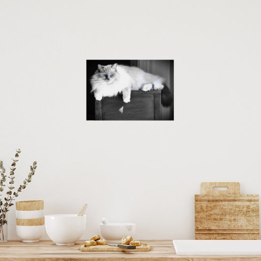 Blaue Augen, Poster (Küche)