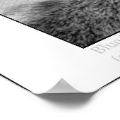 Blaue Augen Poster (Ecke)