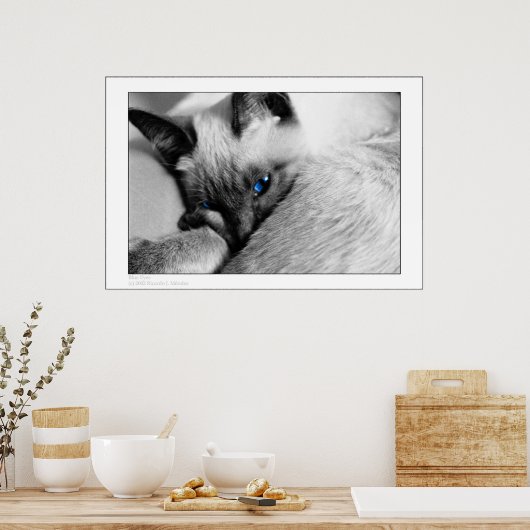 Blaue Augen Poster (Küche)