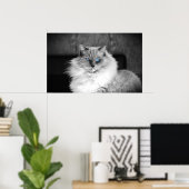 Blaue Augen, Poster (Heimbüro)