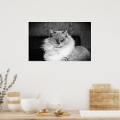 Blaue Augen, Poster (Küche)