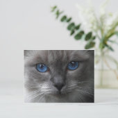 Blaue Augen Postkarte (Stehend Vorderseite)