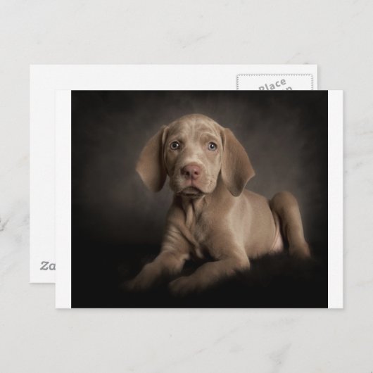 Blaue Augen Postkarte (Vorne/Hinten)