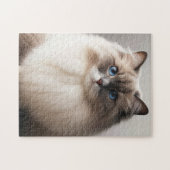 Blaue Augen Ragdoll Katze | Fluffiger Luxus Puzzle (Horizontal)