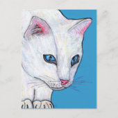 Blaue Augen Weiße Katze Postkarte (Vorderseite)