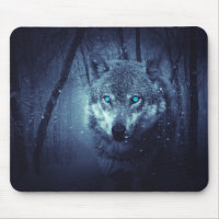 Blaue Augen-Wolf