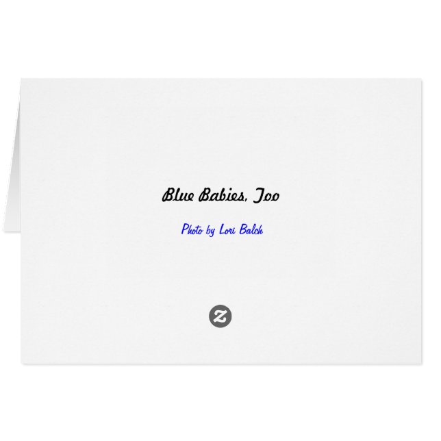 Blaue Babys, auch (Rückseite Horizontal)