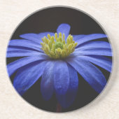Blaue Balkan-Anemonen-Blume Untersetzer (Vorne)