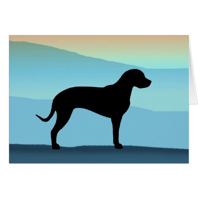 Blaue Berge Catahoula (Vorderseite (Horizontal))