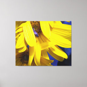 Blaue Biene auf gelber Sonnenblume gezackte Canvas Leinwanddruck