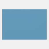 Blaue Blätter und weiße Blume im dunklen Hintergru (Vorderseite 2)