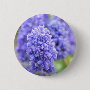 Blaue blaue Bell Button