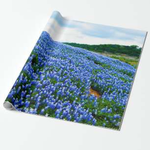 Blaue Blaue Blumen Texas Texan Elegant  Geschenkpapier