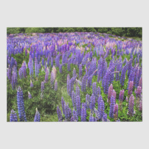 Blaue Blaue Blumen Texas Texan Elegant Seidenpapier