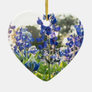 Blaue Blaue Blumen Texas Texan Lupine Keramik Ornament