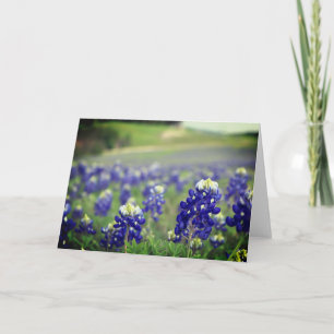 Blaue Blaue Blumen Texas Texanisch Floral Dankeskarte
