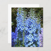 Blaue Blume Delphinium (Vorne/Hinten)