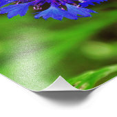 Blaue Blume Fotodruck (Ecke)