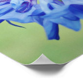 Blaue Blume Fotokunstdruck Poster (Ecke)