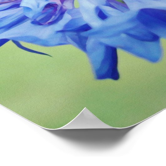 Blaue Blume Fotokunstdruck Poster (Ecke)