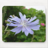 Blaue Blume Mousepad (Vorne)