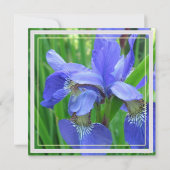 blaue Blume Party Einladung (Rückseite)