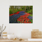 Blaue Blume Poster (Küche)