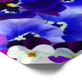 Blaue Blume Poster (Ecke)