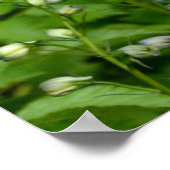 Blaue Blume Poster (Ecke)