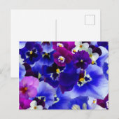 Blaue Blume Postkarte (Vorne/Hinten)