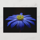 Blaue Blume Postkarte (Vorderseite)