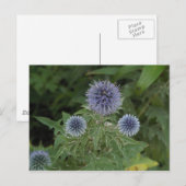 blaue Blume Postkarte (Vorne/Hinten)