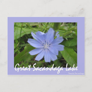 Blaue Blume Postkarte
