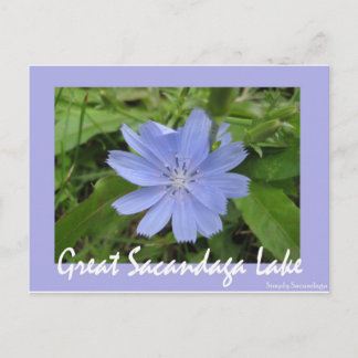 Blaue Blume Postkarte