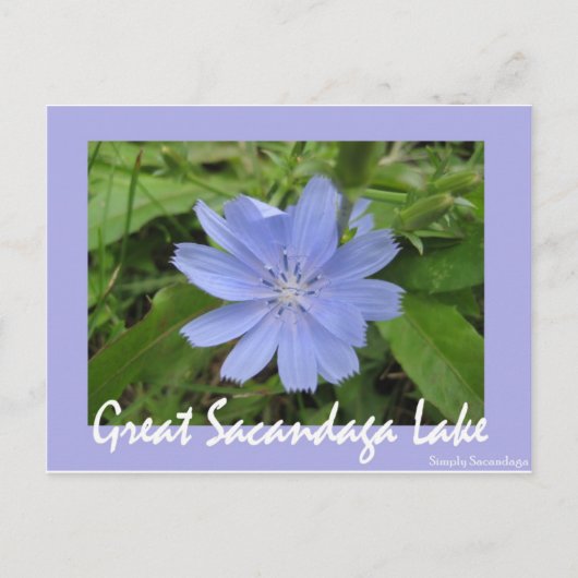 Blaue Blume Postkarte (Vorderseite)