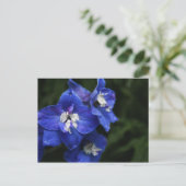 Blaue Blume Postkarte (Stehend Vorderseite)