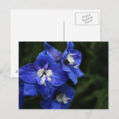 Blaue Blume Postkarte (Vorne/Hinten)