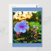 Blaue Blume Postkarte (Vorne/Hinten)
