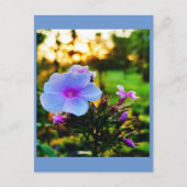 Blaue Blume Postkarte (Vorderseite)