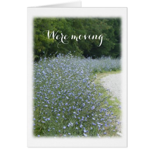 Blaue Blume Wir bewegen Ankündigung (Vorne)