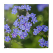 Blaue Blumen Blüten Entdeckungsreise zur Liebe Par Fliese (Vorderseite)
